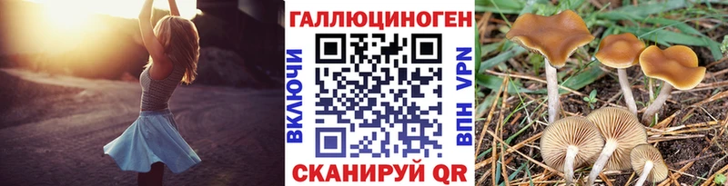 Купить где Тутаев Галлюциногенные грибы MAGIC MUSHROOMS