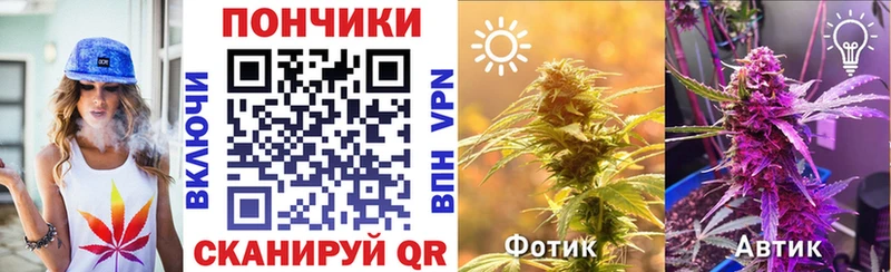 Купить  Тутаев  Бошки Шишки AK-47 